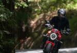 Image-Gallery11